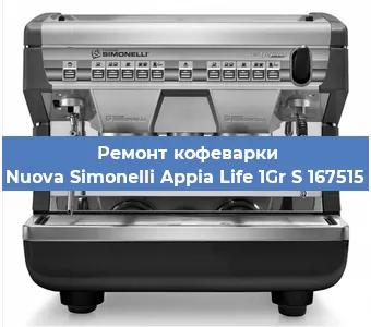 Чистка кофемашины Nuova Simonelli Appia Life 1Gr S 167515 от накипи в Челябинске
